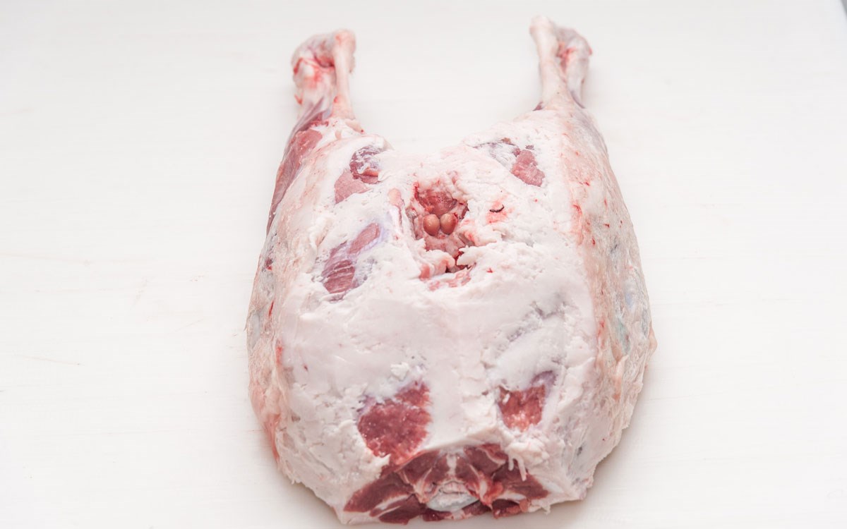 Akşeker Kuzu Çatal