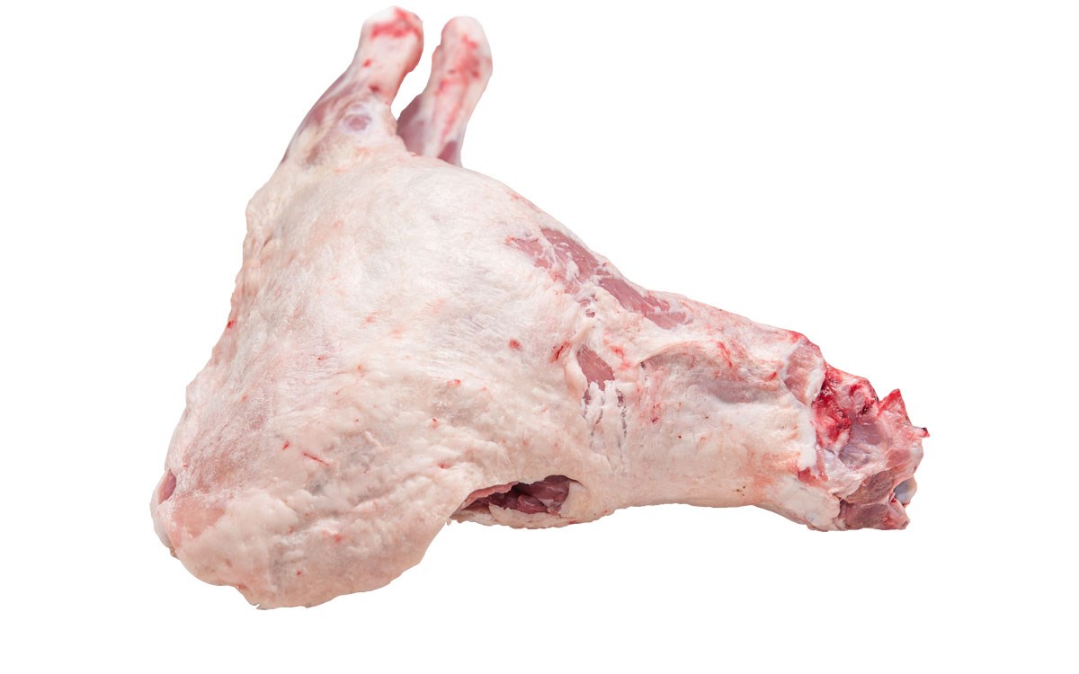 Akşeker Kuzu Kelebek Akşeker Kuzu Kelebek