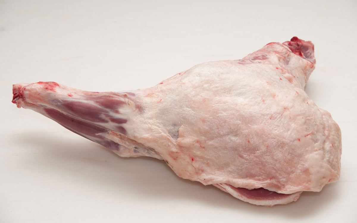 Akşeker Kuzu Kelebek Akşeker Kuzu Kelebek